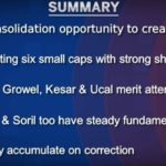 6 small cap stock higher return