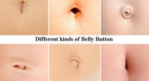 Its very interesting point : What are the things we (probably) didn't know about our belly button?