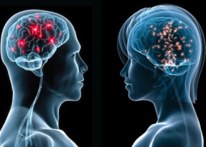 Do you know according to research Male and female brains are the same