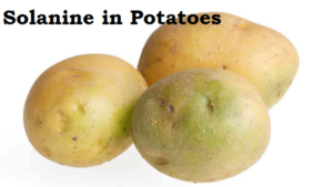 Potatoes: Potatoes have green spots? What happens when you eat such potatoes