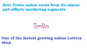 How Trulia online earns from its adsense and affliate marketing segments