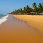 candolim goa
