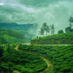 monsoon-Munnar